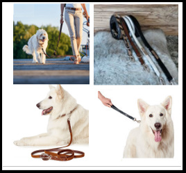 Leather Leashes Collection
