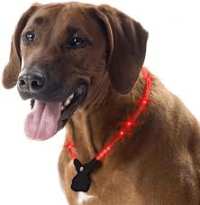 Wolters Nightshift Illuminated Dog Collar & video