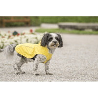 Chiara SCOTTY Raincoat with integrated dog harness XS- 4XL