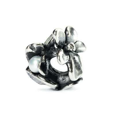 Veilchen-Februar 51739 TAGBE-00028