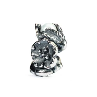 Sanddorn-Mai 51742 TAGBE-00031
