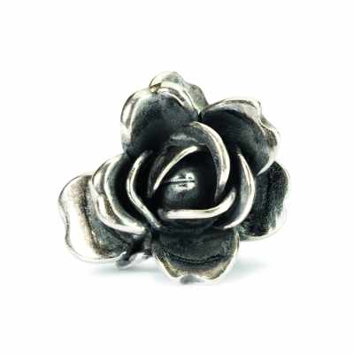 Rose-Juni 51743 TAGBE-00032