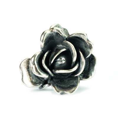 Rose June 51743 TAGBE-00032