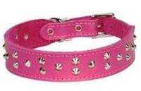 DOGUE Stud Muffin (and wide), Black, Size 45