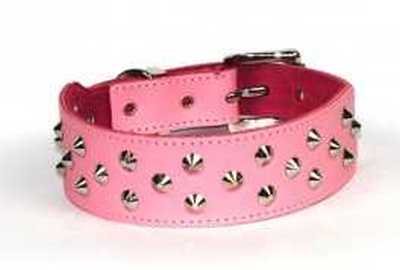 DOGUE Hundehalsband Stud Muffin, Rose, Hals 35cm