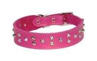 DOGUE Stud Muffin Collars & Lines