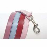 DOGUE Stud Muffin Collars & Lines