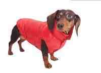 Puppy Angel Down Hundemantel fuer Dachs OW231, Blau, Gr. ML