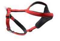 Wolters Professional Comfort Harness Gr. 5, 70-85cm, Graphit