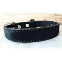Buddy Belts BB2 Artleder, Gr. 7, Schwarz im Preis reduziert