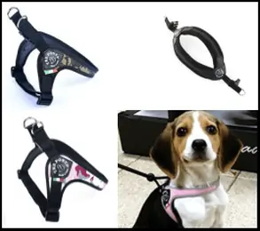 Tre Ponti Dog Harness 2024 Collection