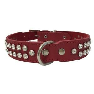 DOGUE Glamorous Hundehalsband, Rot, Gr.35