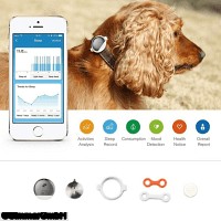 House Pet Activity Monitor FIT P2