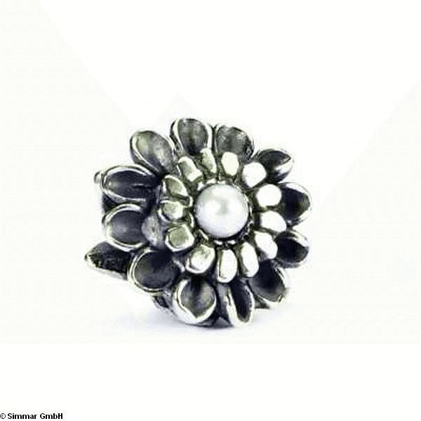 Chrysantheme-November 51748 TAGBE-00037 - zum Schliessen ins Bild klicken