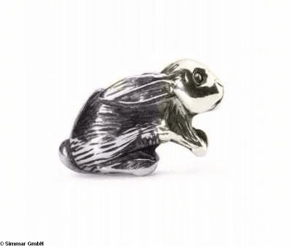 Arabischer Hase 11376 TAGBE-30053 - zum Schliessen ins Bild klicken