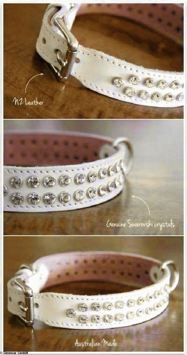 DOGUE Too Glamorous Hundehalsband, Rose, Gr.35 - zum Schliessen ins Bild klicken
