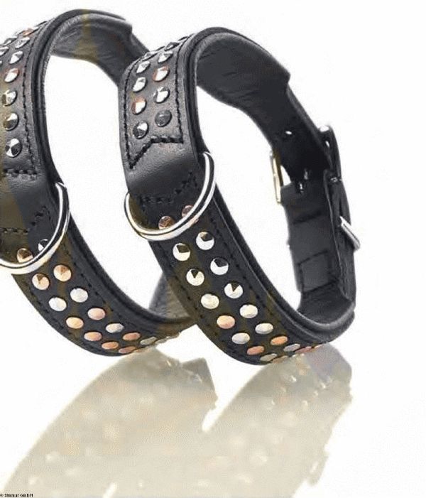 Hunter Leder Halsband San Diego - zum Schliessen ins Bild klicken