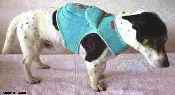 Set VERA PINKA Harness, Size S, Colour Aqua - Click Image to Close