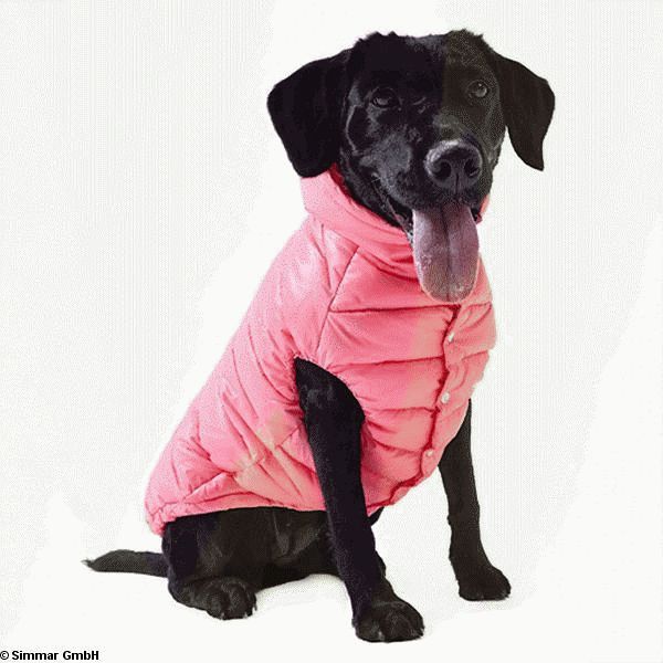 Puppy Angel Vest, regular OW230, Size SM, Colour Light green - Click Image to Close