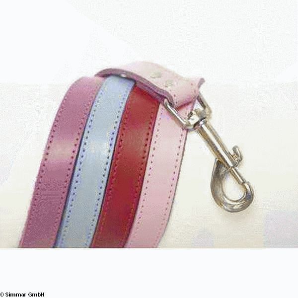DOGUE Plain Jane Hundeleinen, Rose, 120cm * 18mm - zum Schliessen ins Bild klicken