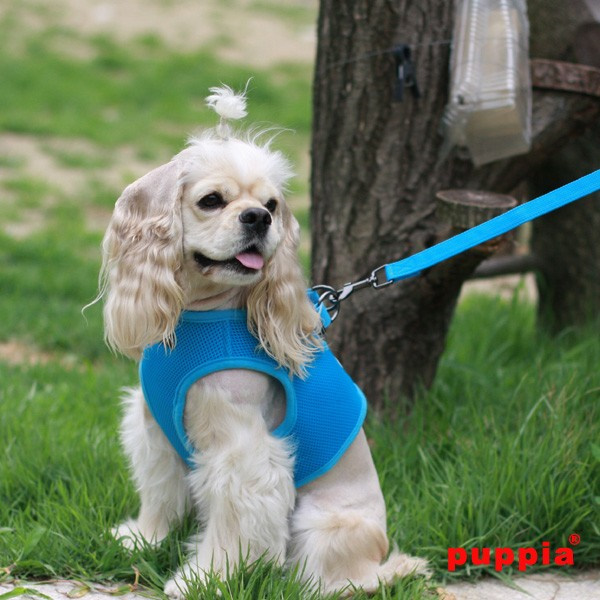 Beliebt Super SOFT Puppia Hundegeschirr B, Gr. XS - 3L - zum Schliessen ins Bild klicken