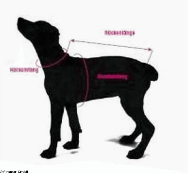 Terravita Leder Flach Hundeleine - zum Schliessen ins Bild klicken