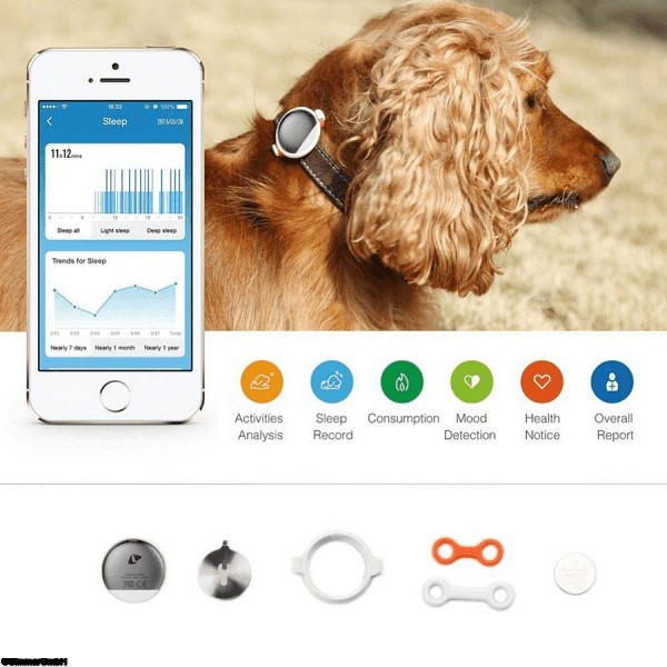 House Pet Activity Monitor FIT P2 - Click Image to Close