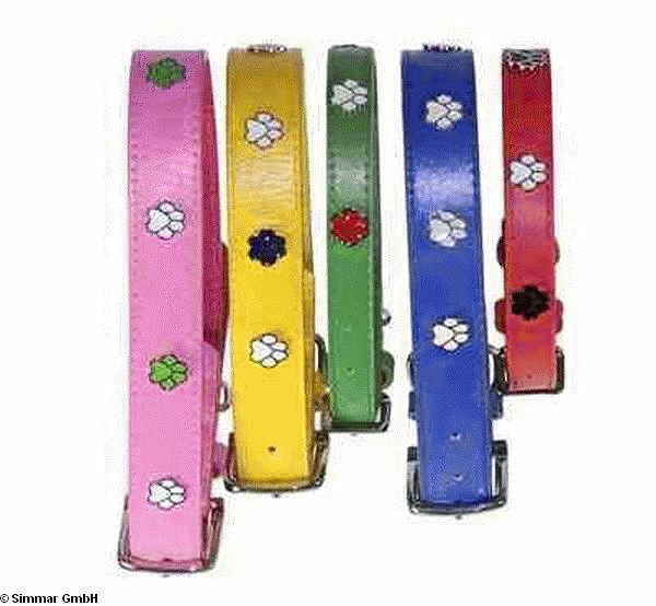 Exklusiv DOGUE Paws Up Hundehalsband, Gruen, Hals 23cm - 28cm [D - zum Schliessen ins Bild klicken