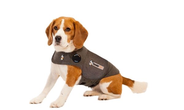 Original Thundershirt gegen Angst bei Hunden - zum Schliessen ins Bild klicken