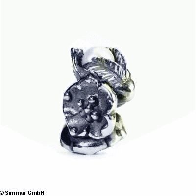Sanddorn-Mai 51742 TAGBE-00031