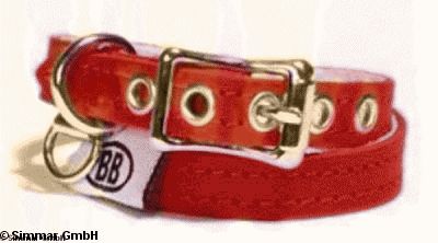 Buddy belt Halsband, pink, Hals 35 - 40cm im Preis reduziert