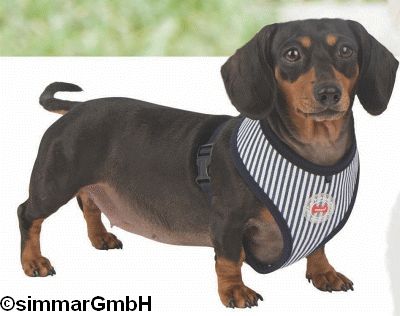 Bobby Puppia Dog Harness B guenstig Gr. XS - XL
