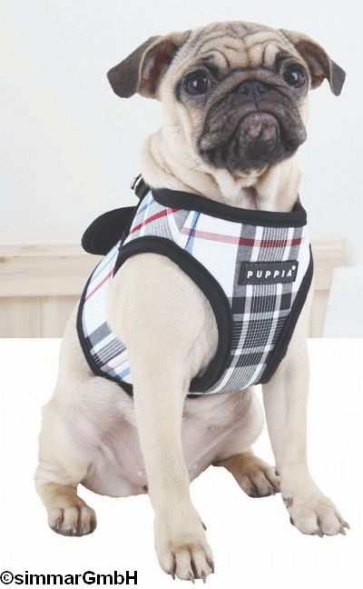 Junior Puppia Dog Harness A Gr. XS - XL