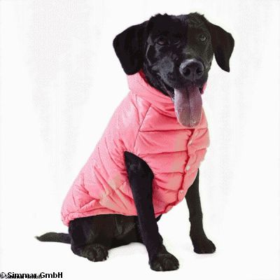 Puppy Angel Hundemantel, regular OW230, Gr. SM, Farbe Hellgruen
