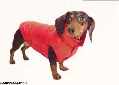 Puppy Angel Down Hundemantel fuer Dachs OW231, Blau, Gr. ML