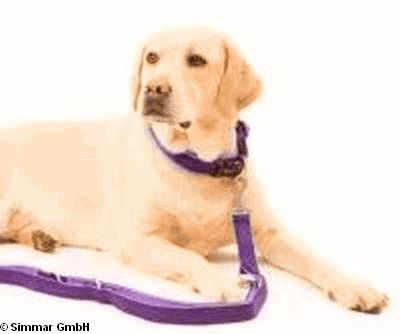 Professional Comfort Fuehrleine, Brombeer, Gr.200cm * 1.5cm