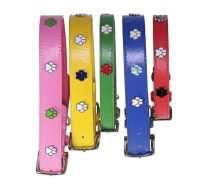 Exklusiv DOGUE Paws Up Hundehalsband, Gruen, Hals 23cm - 28cm [D