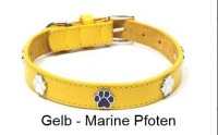 Exklusiv DOGUE Paws Up Hundehalsband, Gruen, Hals 23cm - 28cm [D
