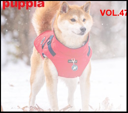 Puppia Spring/Summer 2024 Hunde-Accessoires