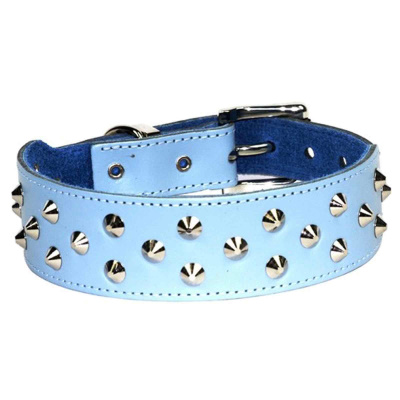 DOGUE Hundehalsband Stud Muffin (und Breit), Hell Blau, Gr. 45